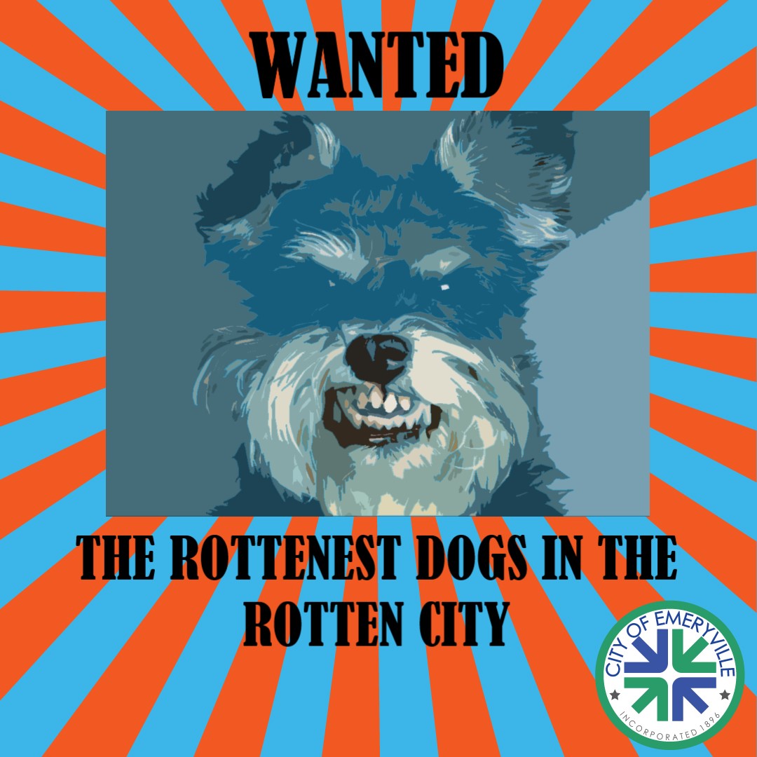City-of-Emeryville.SFOTB.RottenCity.2019.socialdogs.jpg